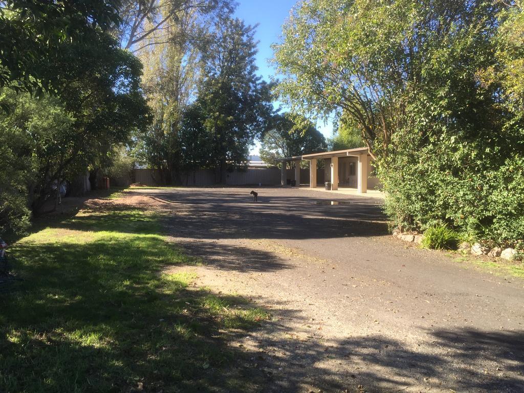 Murray Valley Motel Wodonga Ngoại thất bức ảnh