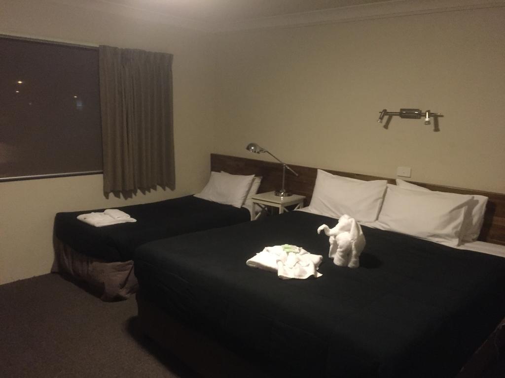 Murray Valley Motel Wodonga Ngoại thất bức ảnh